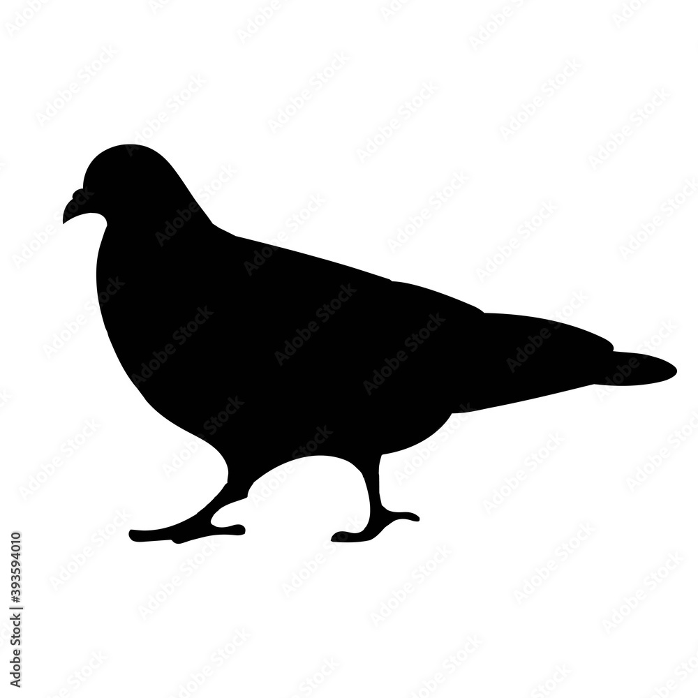 Isolated silhouette of a a going blue pigeon Isolated silhouette of a a going blue pigeon