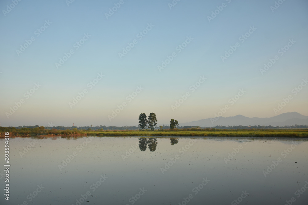 Beautiful landscape of nature and tree with shadow reflect on pond surface at countryside isolated with background of soft light in morning time.