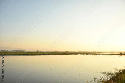 Beautiful pond in nature at countryside isolated with background of soft light in morning time.
