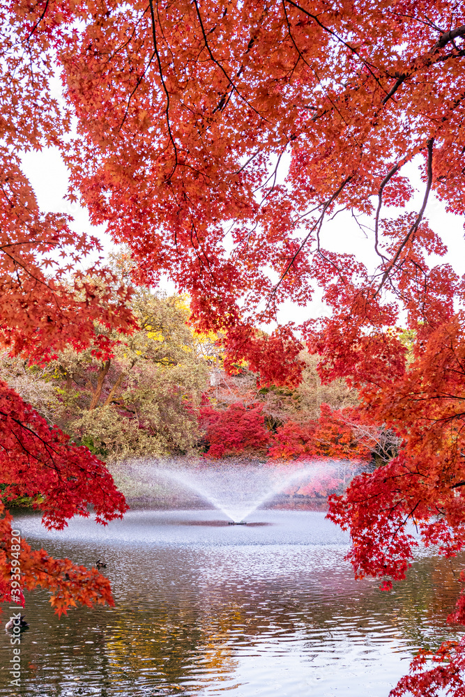 紅葉に囲まれる噴水