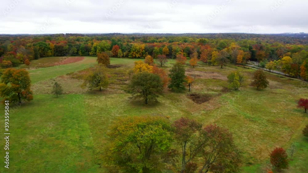 Scenic Aerial Views of Colorful Trees in Autumn at Wavenly Park Scenic Aerial Views of Colorful Trees in Autumn at Wavenly Park