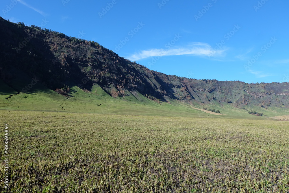 Fototapeta premium field and blue sky