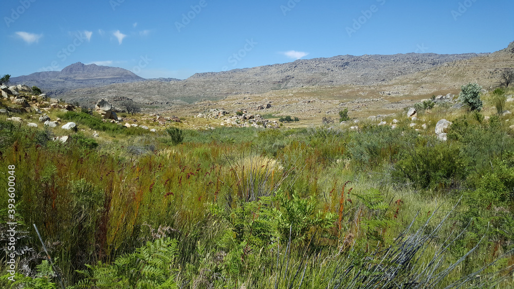 Obraz premium Scenery at Cederberg Wilderness Area
