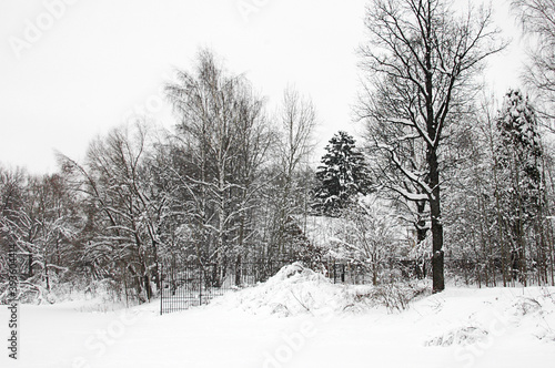 Winter landscape. Village, settlement in winter. Winter sketch