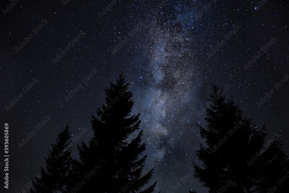 Fototapeta premium Silhouettes of a huge fir tree against the background of the starry sky and the Milky Way. Night photo.