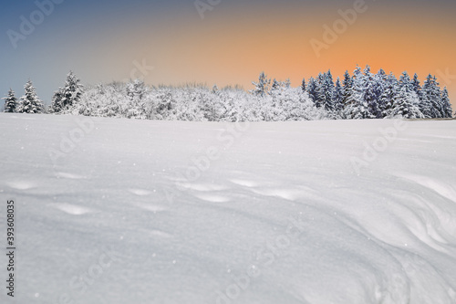 Winterpanorama mit Wald, Hintergrunddesign Weihnachtskarte, Schneelandschaft, Hintergrunddesign, Headergeeignet © photo-corona