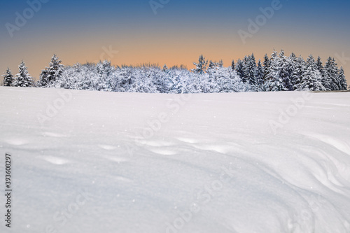 Winterpanorama mit Wald, Hintergrunddesign Weihnachtskarte, Schneelandschaft, Hintergrunddesign, Headergeeignet