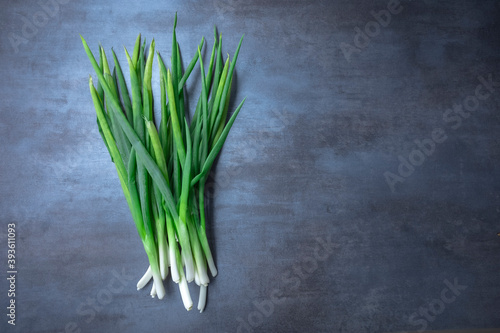 green onion on gray background  free space for edits