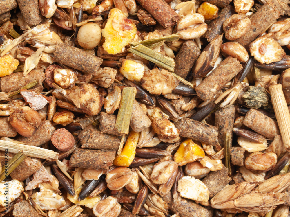elite muesli background for sportive horses with black oats. flat lay. close up. nutrient equestrian concept elite muesli background for sportive horses with black oats. flat lay. close up. nutrient equestrian concept