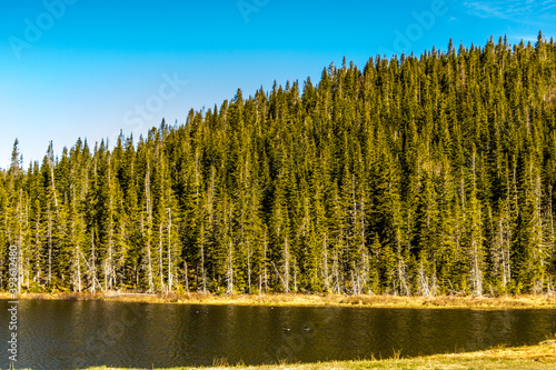 Views from the roadside. Gros Morne National Park, Newfoundland, Canada photo