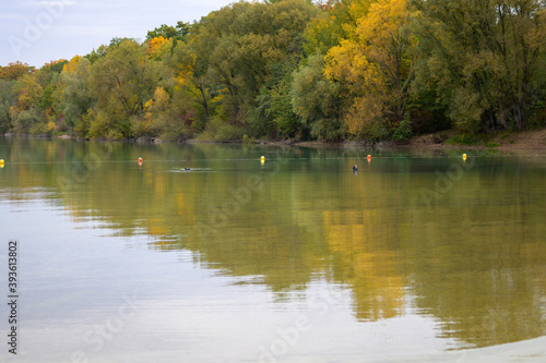 Row of yellow buoys floating in a placid lake