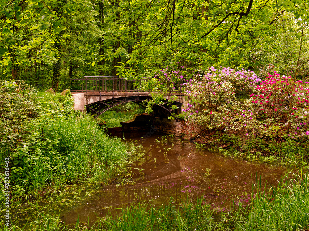 Bridge amongst flowers and bushes in a old park near Moszna Castle.