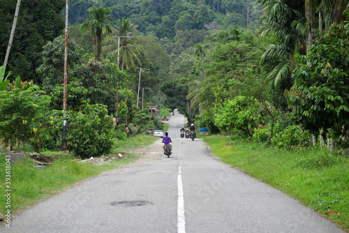 Jungle road in Sumatra, Indonesia 