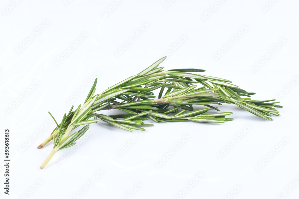Sprig of rosemary, and evergreen aromatic herb, on white, high-key background, with bright exposure. Sprig of rosemary, and evergreen aromatic herb, on white, high-key background, with bright exposure.