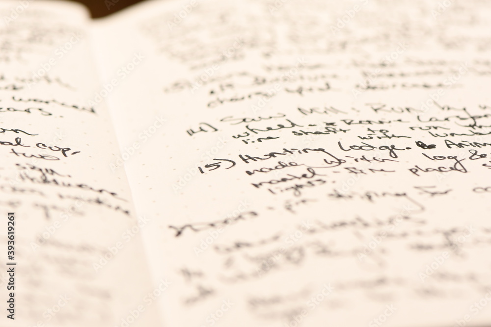 Fototapeta premium Cursive ink handwriting in a journal notebook.