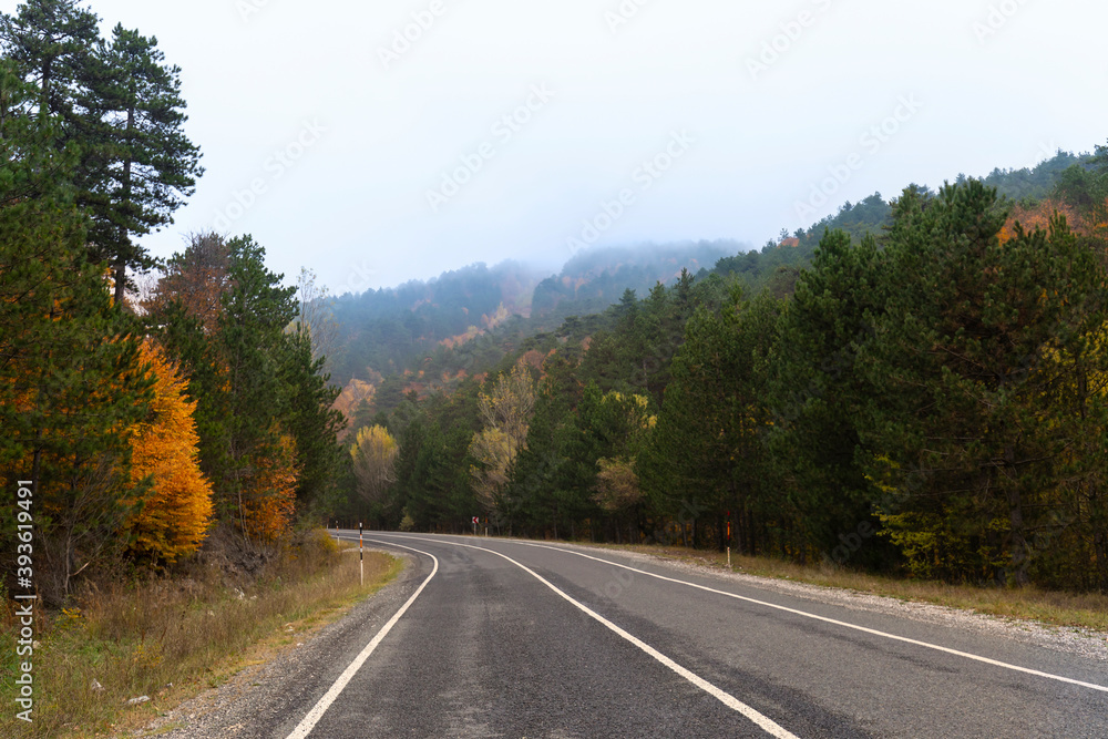 It's autumn time. Colorful leaves on the trees. Colorful leaves fallen to the ground. Autumn mood. Uludag National Park, Bursa.