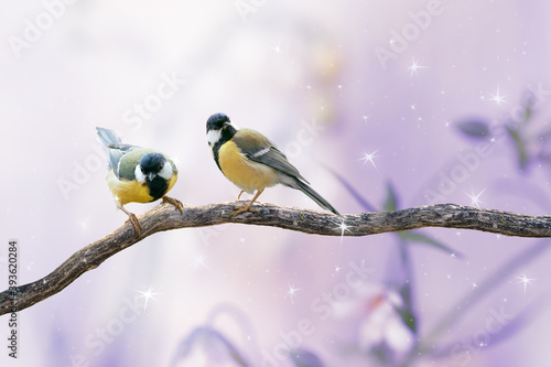 Portrait Of two Great Tit Birds Sitting On Tree Branch on Fantasy Mysterious Spring Forest Background, Fabulous Fairy Tale Floral Garden and Cute Songbird in Morning, Beautiful Artistic Toned Image. © julia_arda