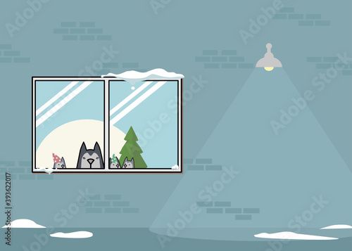 the dogs family looking out side window in the christmas night. they waiting for the owner.