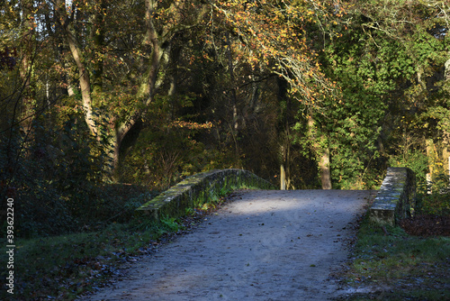 Pont de pierres dans la forêt en automne