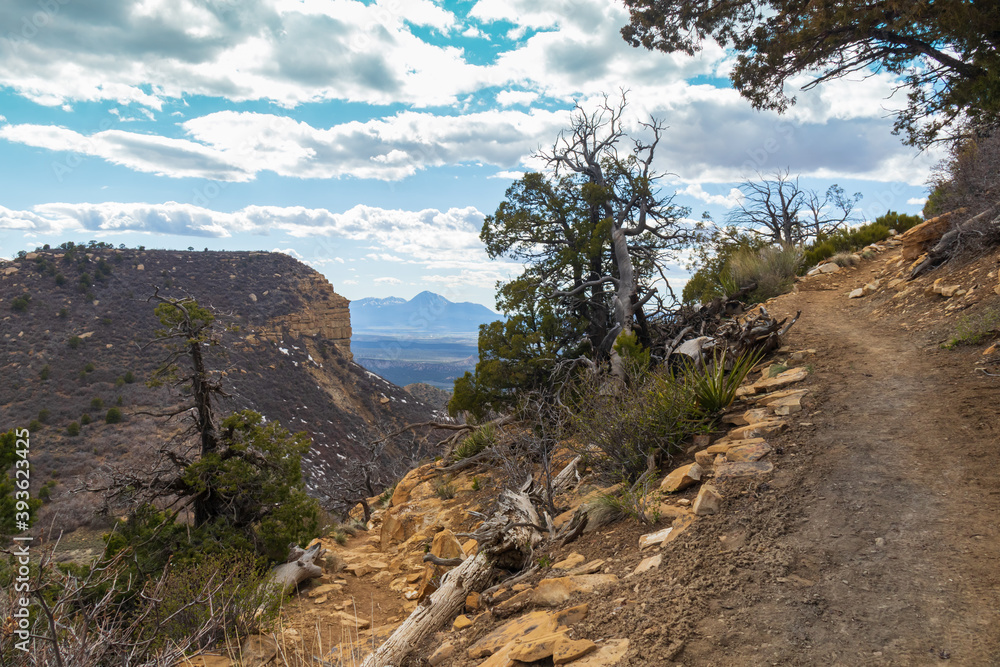 Point Lookout Trail, Mesa Verde National Park, Colorado
Point Lookout Trail, Mesa Verde National Park, Colorado