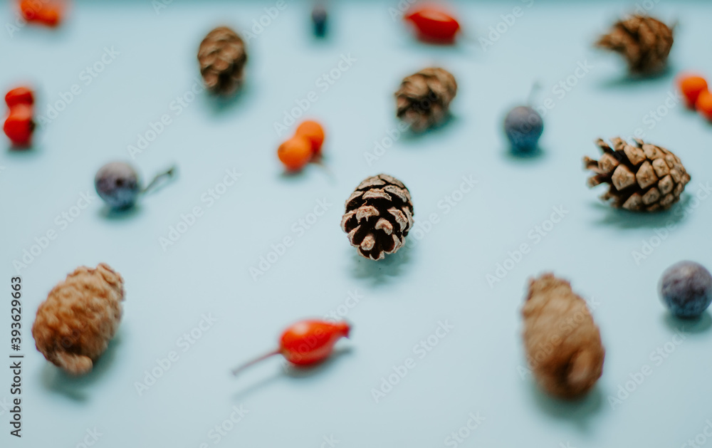 Small pine cones with blue and red winter berries composition on a pastel blue background Christmas background Small pine cones with blue and red winter berries composition on a pastel blue background Christmas background