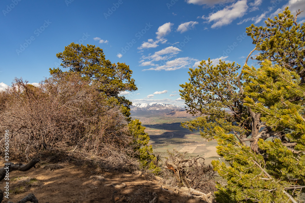 Fototapeta premium View from Point Lookout Trail, Mesa Verde National Park, Colorado 
