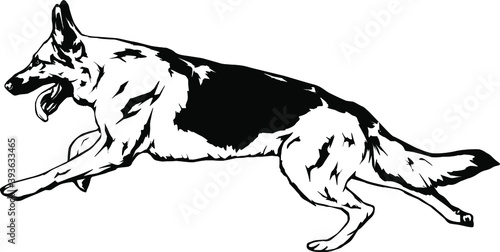 German Shepherd Vector