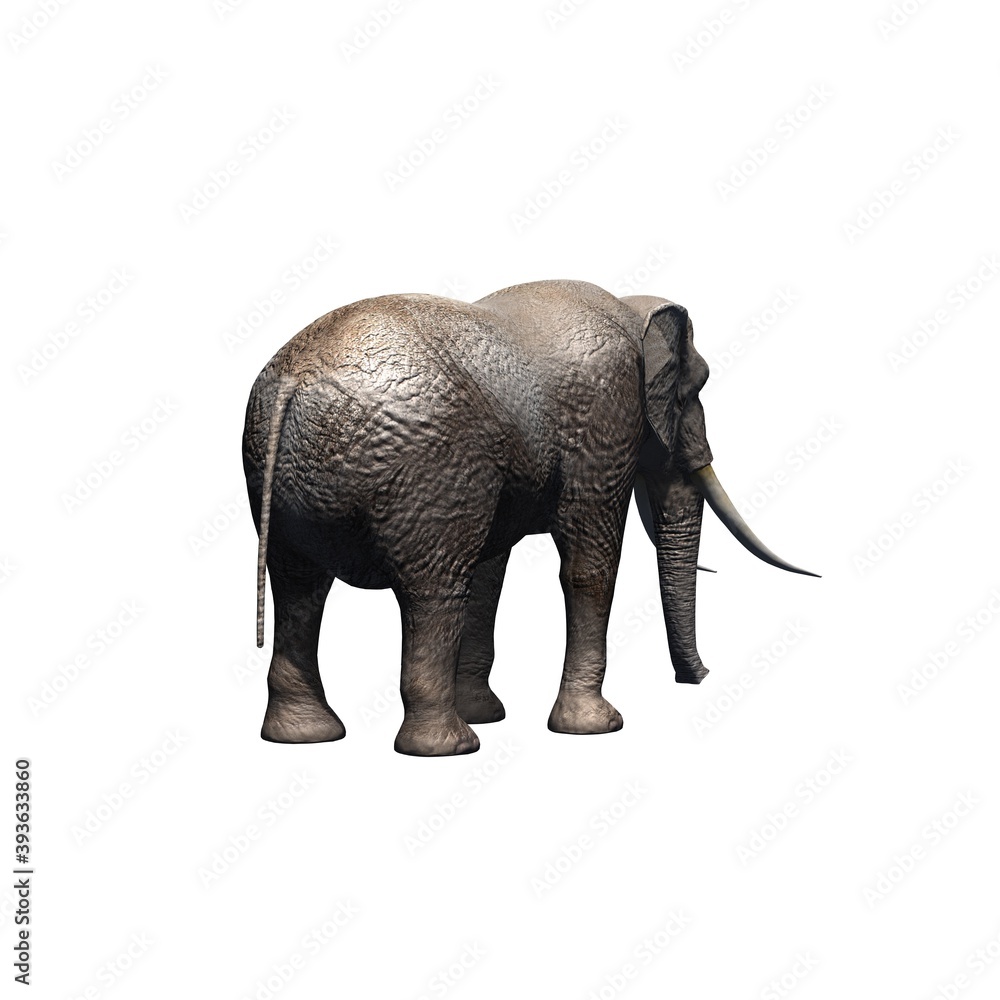 Obraz premium Wild animals - elephant - isolated on white background - 3D illustration