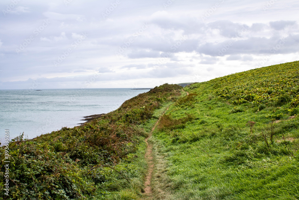 The rocky West Cork coastline with the sunseting and boulders covered in Irish sea moss. The seven heads cliffs are popular with hikers and hill walkers. The rocky West Cork coastline with the sunseting and boulders covered in Irish sea moss. The seven heads cliffs are popular with hikers and hill walkers.