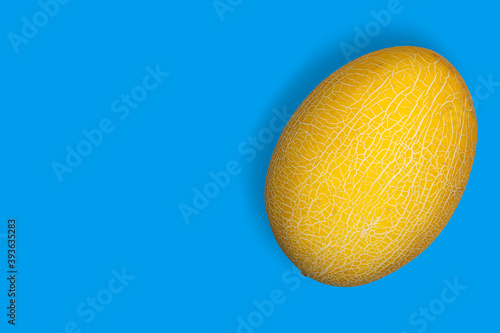 Yellow melon on a blue background. Melon seamless pattern.