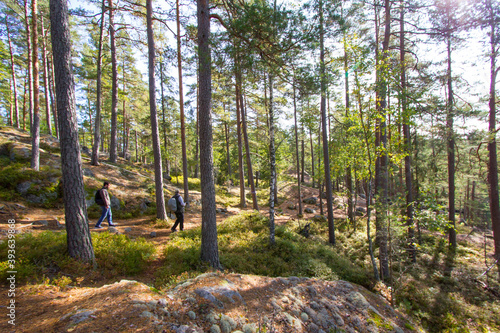 beautiful landscape, forest and lake in Tiveden National Park, Sweden photo