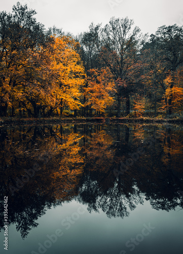 Vertical landscape photo of moody and dramatic lake with colorful trees in water reflection. Lake in forest in fall with mirror reflection of beautiful trees.