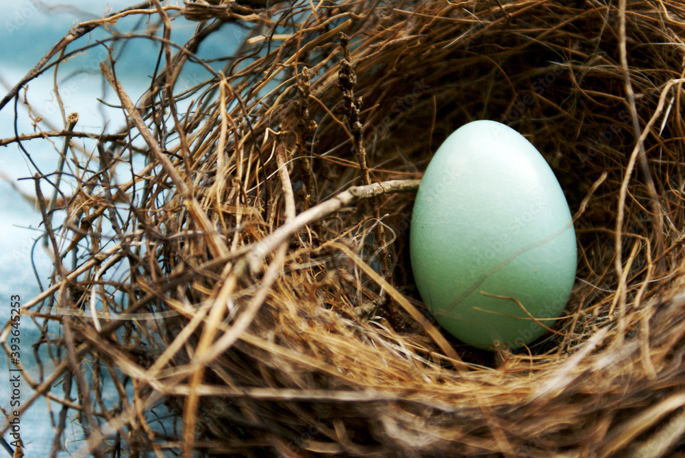 Red Robins Nest Egg
