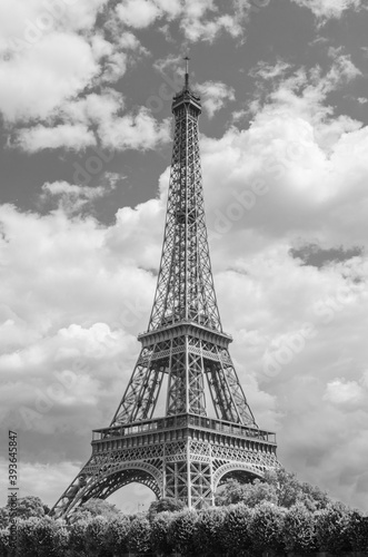 Fototapeta Naklejka Na Ścianę i Meble -  Beautiful Eiffel Tower of Paris standing alone in monochrome