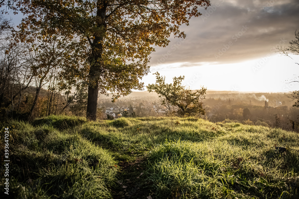 Naklejka premium Point de vue secret à coté d'un chêne sur Auvers sur Oise en Automne