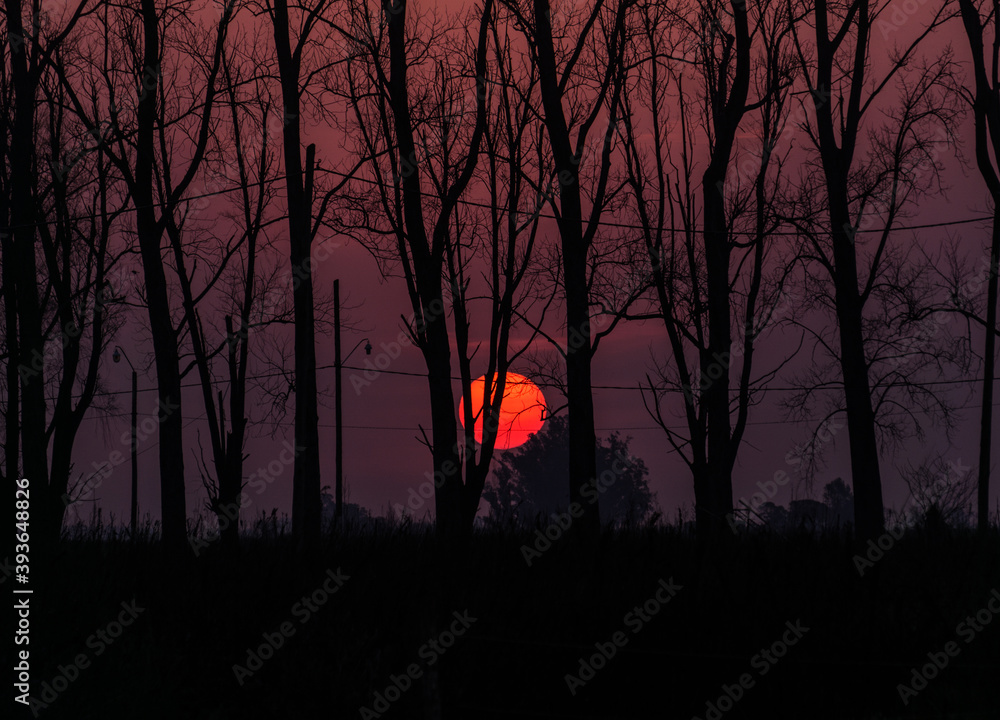 Naklejka premium atardecer rojo