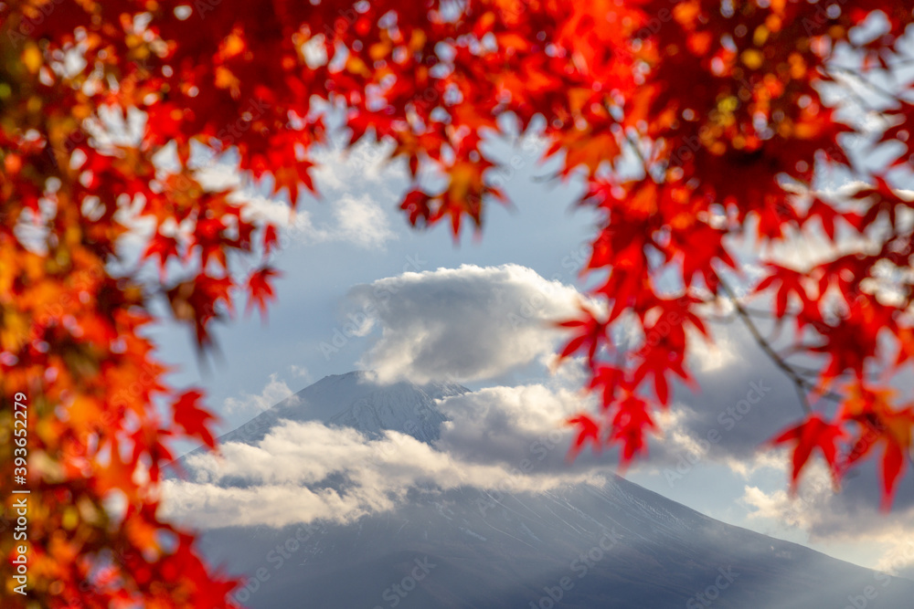 Fototapeta View of mountain Fuji in autumn (Japon)