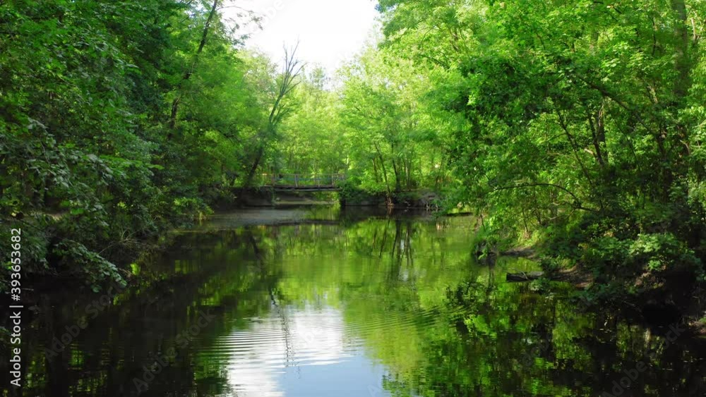 Beautiful view of river between banks covered with green trees, camera tilting up Beautiful view of river between banks covered with green trees, camera tilting up