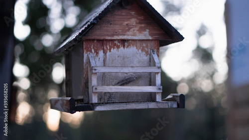 Bird House © Morgan