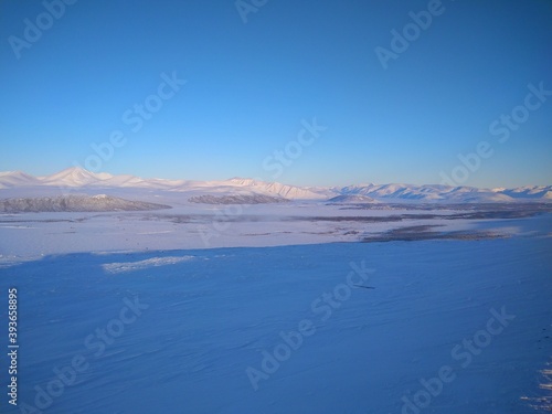 TUNDRA  FOREST