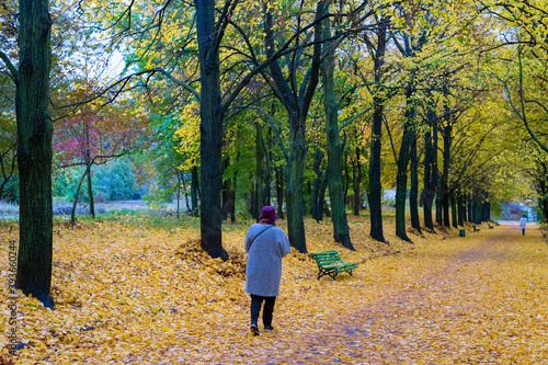 Path autumn woman park fall