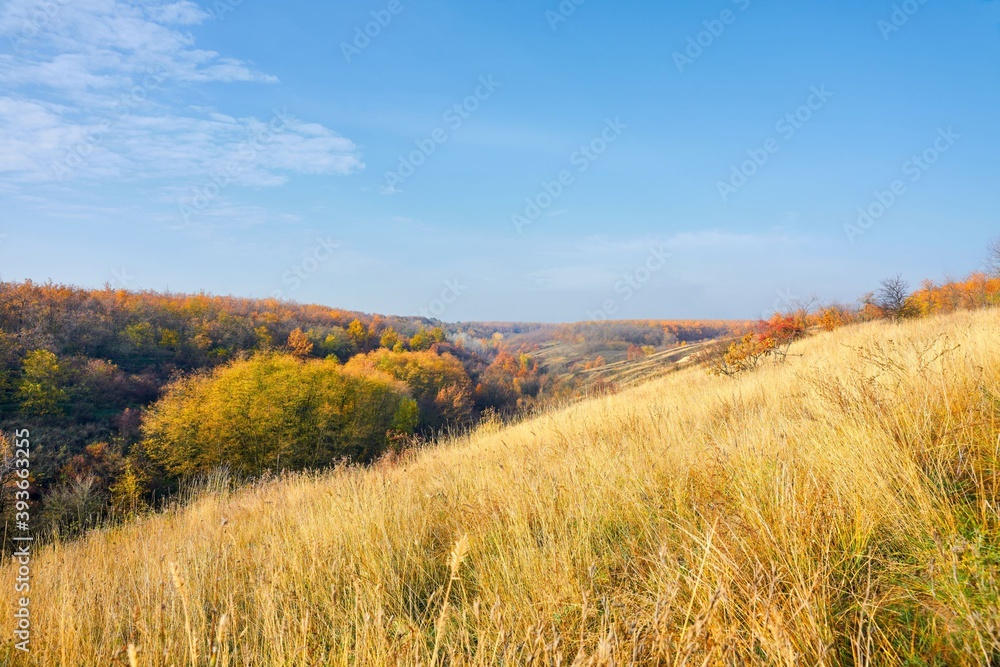 sky, field, landscape, grass, nature, blue, summer, meadow, clouds, cloud, countryside, green, autumn, agriculture, wheat, horizon, farm, yellow, land, country, outdoors, trees, tree, plant, blue sky,