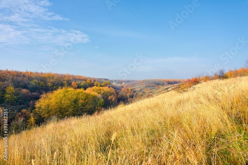 sky  field  landscape  grass  nature  blue  summer  meadow  clouds  cloud  countryside  green  autumn  agriculture  wheat  horizon  farm  yellow  land  country  outdoors  trees  tree  plant  blue sky 