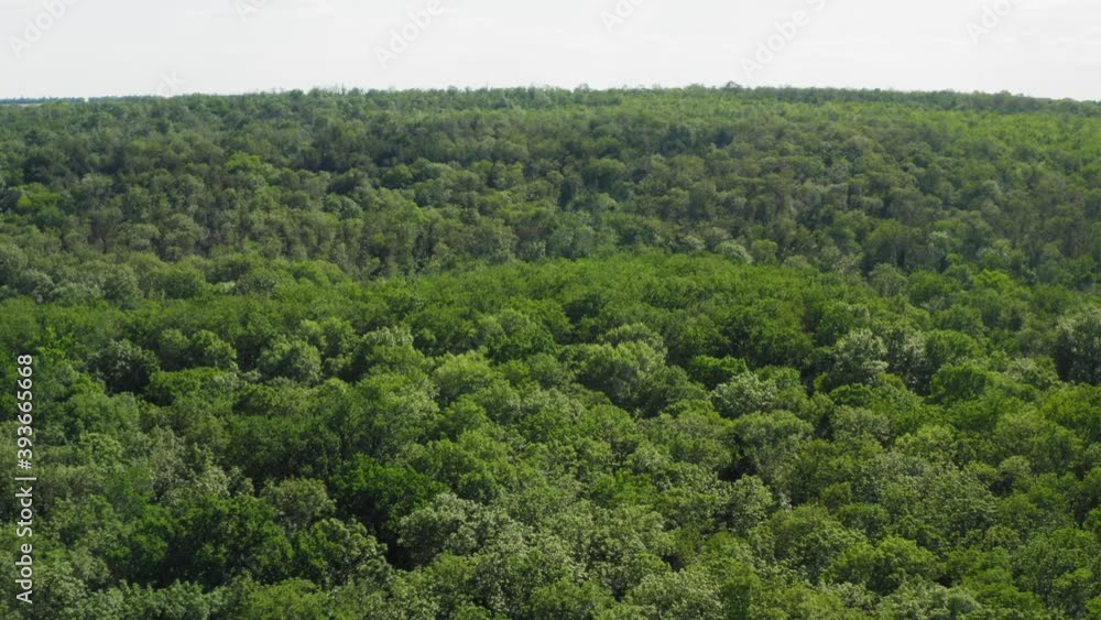 Flying over beautiful green forest, aerial view. Camera panning right Flying over beautiful green forest, aerial view. Camera panning right