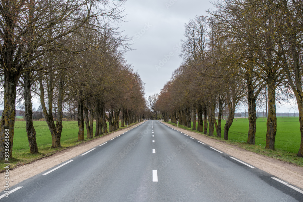 Asphalt wavy road in autumn misty countryside landscape Asphalt wavy road in autumn misty countryside landscape