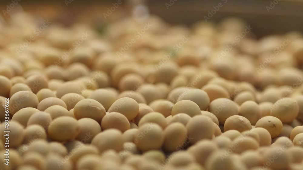 Soybeans on weave wicker basket. Soybeans on weave wicker basket.