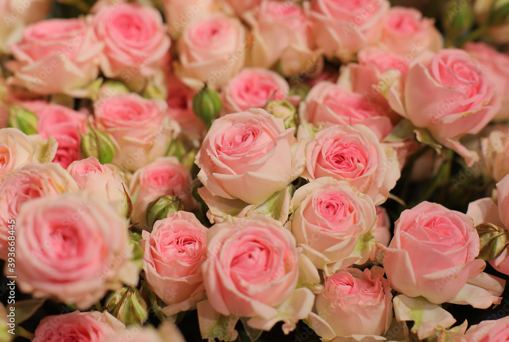Flower composition. Macro photo. A Beautiful bouquet of fresh flowers. Flower composition. Macro photo. A Beautiful bouquet of fresh flowers.