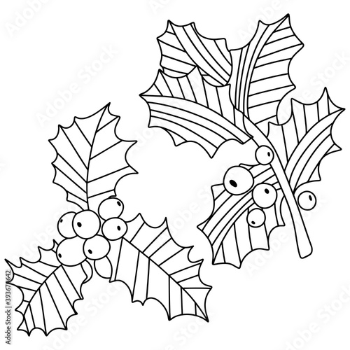 Two mistletoe branches coloring page stock vector illustration. Funny winter plant for kiss black outline isolated on white. Two sprigs of mistletoe with berries ornamental for printing and coloring