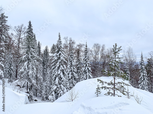 Winter snow background, Christmas postcard
