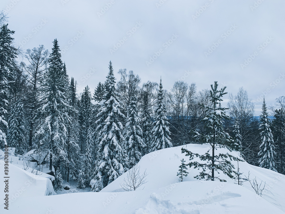Winter snow background, Christmas postcard Winter snow background, Christmas postcard